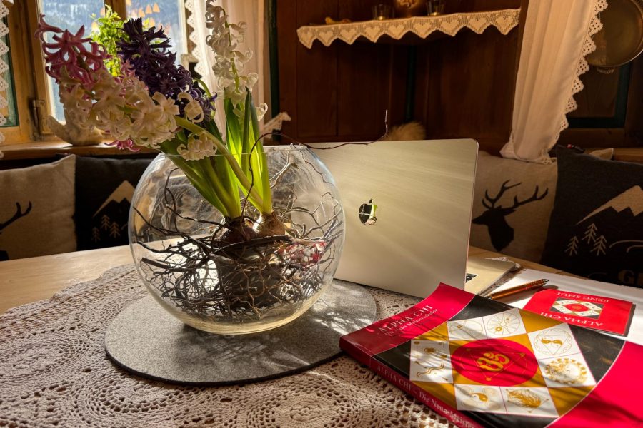 ari-bettina-hirschhuber-energetik-feng-shui-67